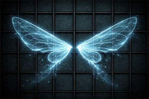 Placeholder: Fairy Wing