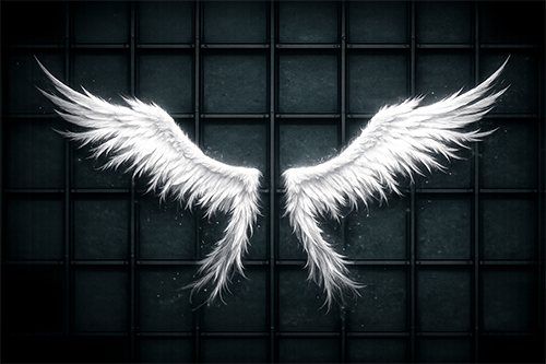 Placeholder: Wing of Heaven